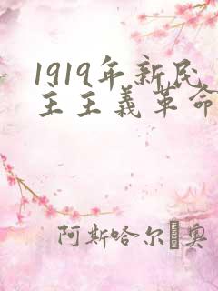 1919年新民主主义革命
