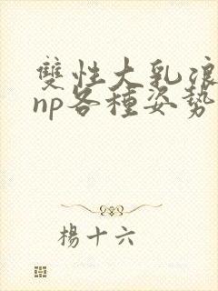 双性大乳浪荡受np各种姿势