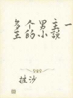 多个男主一个女主的小说