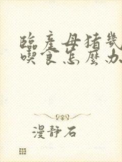 临产母猪几天不吃食怎么办