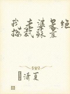 我老婆是绝世女总裁苏晨