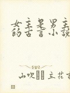 女主是男主外室的古言小说