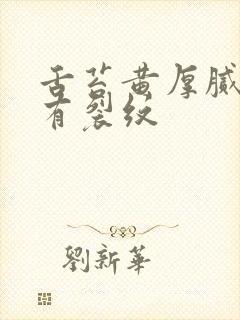 舌苔黄厚腻中间有裂纹