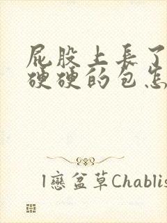 屁股上长了一个硬硬的包怎么治疗