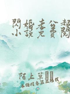 闪婚老公超给力小说免费阅读全文