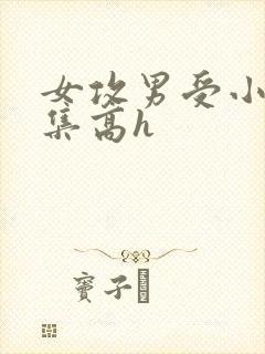 女攻男受小说合集高h