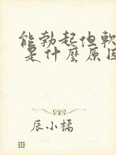 能勃起但软的快 是什么原因