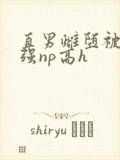 直男雌堕被疯批强np高h