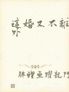 这婚又不离了番外