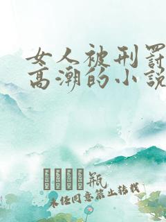 女人被刑罚阴道高潮的小说