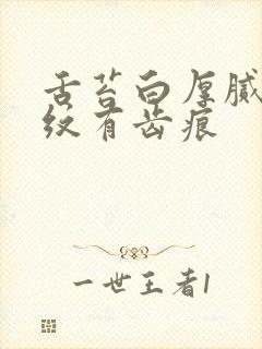 舌苔白厚腻有裂纹有齿痕