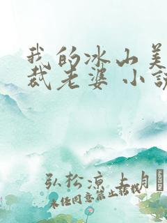 我的冰山美女总裁老婆 小说