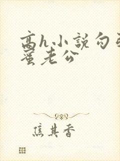 高h小说勾引闺蜜老公