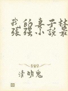 我的妻子林慧茹张强小说最新章节阅读