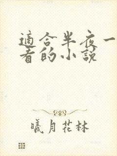 适合半夜一个人看的小说