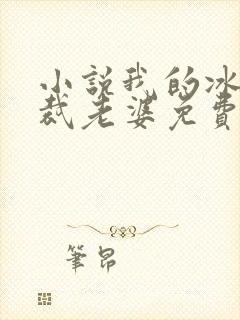 小说我的冰山总裁老婆免费阅读