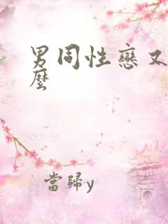 男同性恋又叫什么