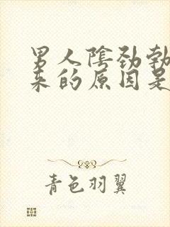 男人阴劲勃不起来的原因是什么