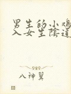 男生的小鸡鸡插入女生阴道视频