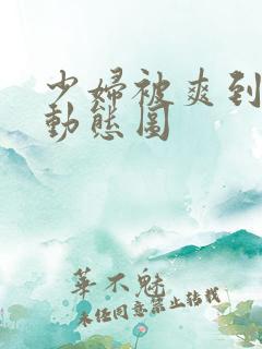 少妇被爽到高潮动态图