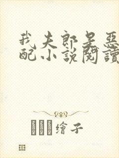 我夫郎是恶毒男配小说阅读下载