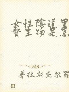 女性阴道里长硬赘生物是怎么回事