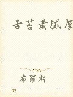 舌苔黄腻厚治疗