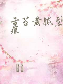 舌苔黄腻裂纹齿痕