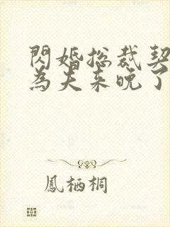 闪婚总裁契约妻为夫来晚了