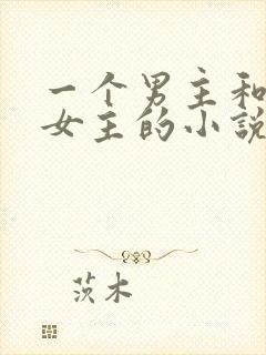一个男主和多个女主的小说