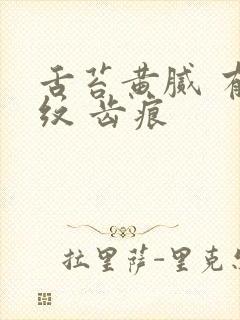 舌苔黄腻 有裂纹 齿痕