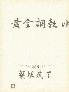 黄金调教 vk