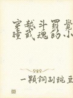 穿越斗罗觉醒重瞳武魂的小说