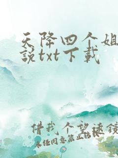 天降四个姐姐小说txt下载