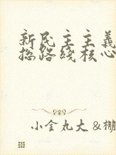 新民主主义革命总路线核心