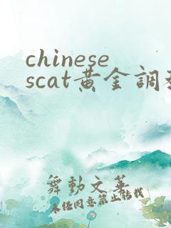 chinesescat黄金调教vk