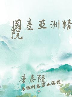 国产亚洲精品影院