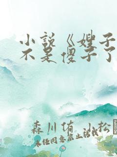 小说《嫂子我真不是傻子了叶凡》