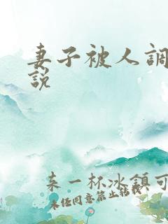 妻子被人调教小说