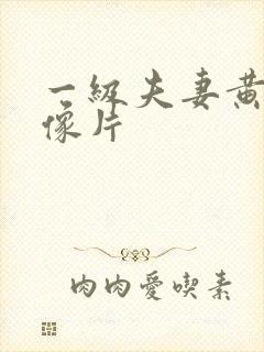 一级夫妻黄色录像片