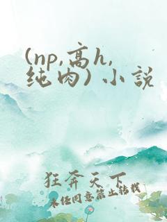 (np,高h,纯肉) 小说