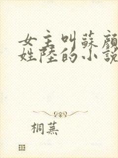 女主叫苏颜男主姓陆的小说