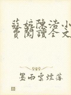 苏婉陈浩小说免费阅读全文最新章节