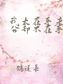 我太在乎老公老公却不在乎我