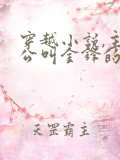 穿越小说,主人公叫金锋的小说