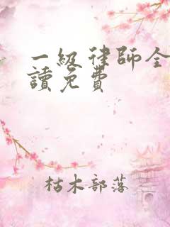 一级律师全文阅读免费