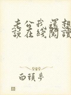 老公我还想要小说在线阅读