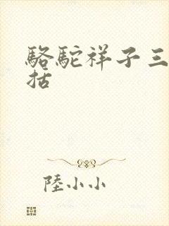 骆驼祥子三落概括