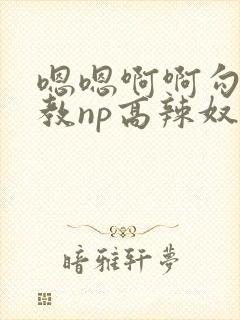 嗯嗯啊啊勾引调教np高辣奴