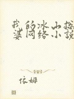 我的冰山总裁老婆网络小说
